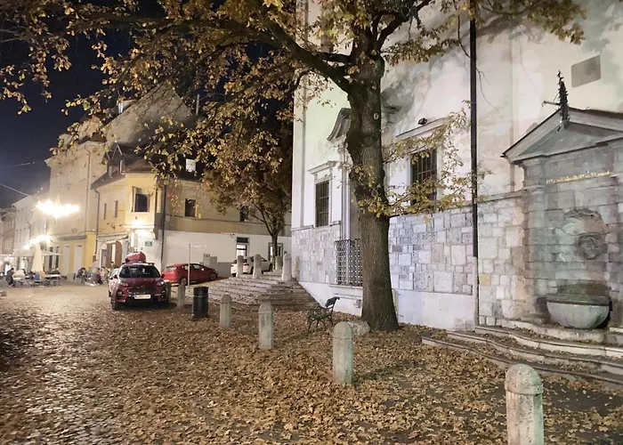 Penzion Pod Gradom Lublaň